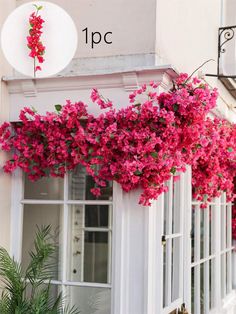 pink flowers are growing on the outside of a storefront with white windows and shutters