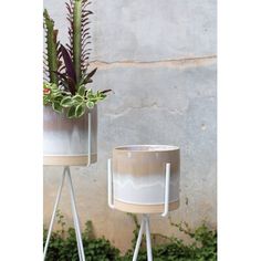 two potted plants sitting on top of metal stands