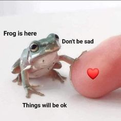 a tiny frog sitting on top of a finger next to a red heart shaped object