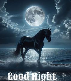 a black horse standing in the ocean at night with a full moon behind it and words good night