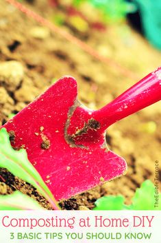 a red shovel digging in the dirt with text reading composting at home diy 3 basic tips you should know