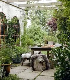 an outdoor table surrounded by greenery and potted plants