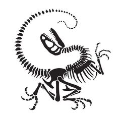 a black and white image of an animal skeleton with the letter m in it's mouth