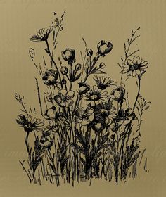 an ink drawing of wildflowers in the grass