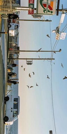 birds are flying in the air over a city street