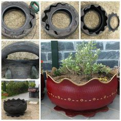 several pictures of different types of planters in various shapes and sizes, with plants growing out of them