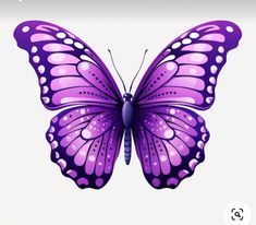 a purple butterfly with white dots on it's wings