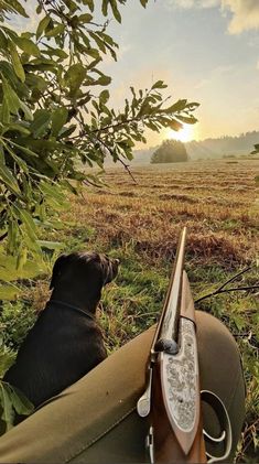 Western Hunting Aesthetic, Aesthetic Hunting Pictures, Hunting Aesthetic Boy, Hunting Dog Photography, Hunting Wallpaper Iphone, Gsp Hunting