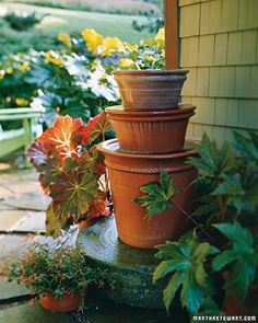 several potted plants sit on top of each other in front of a house,