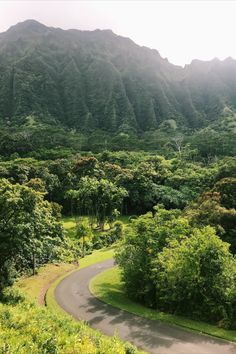 #hawaii
#honolulu
#oahu
#travel
#beach
#aloha
#islandlife
#hawaiilife
#waikiki
#ocean
#love
#photography
#island
#nature
#vacation
#travelphotography
#sunset
#instagood
#summer
#wanderlust
#travelgram
#hilife
#paradise
#photooftheday
#naturephotography
#beautiful
#luckywelivehawaii
#hawaiistagram
#ハワイ
#hawaiian Kauai Hiking, Visiting Honolulu, Hawaii Hikes, Hawaii Things To Do, Garden Pictures, Tropical Getaways