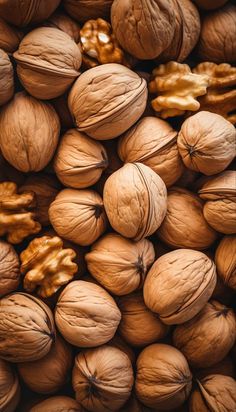 walnuts are piled up and ready to be eaten