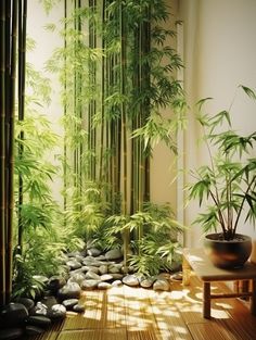 a room with bamboo trees and rocks in it