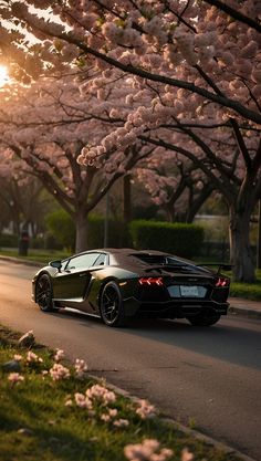 a black sports car driving down the road with cherry blossom trees in the back ground