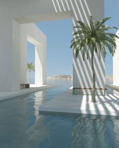 a palm tree in the middle of a swimming pool