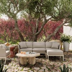 an outdoor living area with couches, tables and potted trees in the background