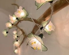 some white flowers are hanging from a wooden branch with string lights on it's end