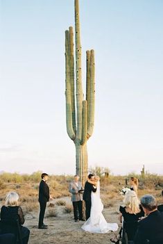 a bride and groom standing in front of a large saguado cactus at their wedding ceremony