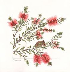 a drawing of some red flowers on a branch with green leaves and a brown bird sitting on it