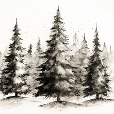 a black and white drawing of three pine trees in the snow, one is tall