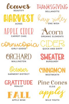 some type of font that is in different colors and sizes, with the words below it