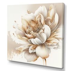 a large white flower on a beige background canvas print wall art - product code b07