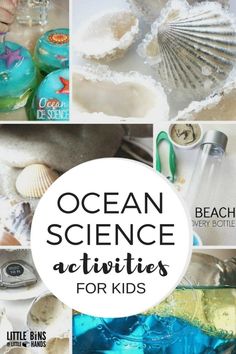 the ocean and beach activities are great for kids to do with their favorite things, such as seashells