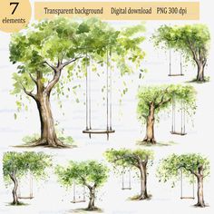 different types of trees with swings and leaves on the branches, watercolor painting by numbers