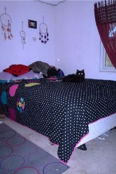 a black cat laying on top of a bed in a room with polka dot bedspread