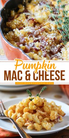 Celebrate Thanksgiving with this easy pumpkin mac and cheese with bacon! This baked pumpkin mac and cheese is savory, hearty, and the perfect Thanksgiving side dish to impress. Save this simple pumpkin recipe and impress your guests! October Dinners, Pumpkin Mac N Cheese, Mac And Cheese With Bacon, Easy Fall Dinner Recipes, Pumpkin Recipes Dinner, Easy Fall Dinners, Easy Pumpkin Dessert