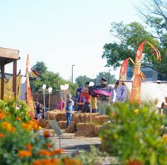 some people are standing around hay bales in the middle of a yard with orange flowers