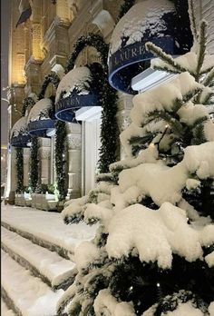 snow covered trees and steps in front of a building with lights on it's sides