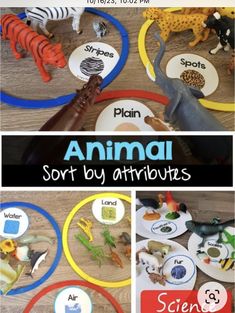 an animal sort by attributes activity for toddlers to learn about the animals and their habitats