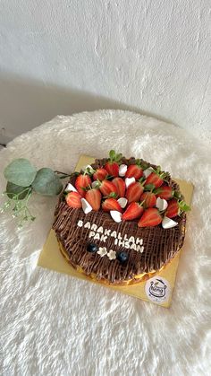 a chocolate cake topped with strawberries on top of a white blanket next to a plant