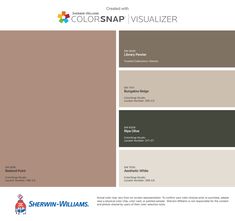 the colorsnap visualizer is shown in this color scheme, which includes neutrals and