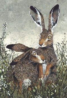 two brown and white rabbits sitting next to each other in tall grass with flowers on the ground