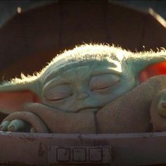 a baby yoda is sleeping in a box