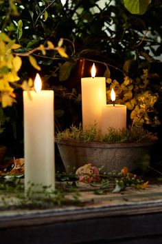 three lit candles sitting on top of a table next to some plants and flowers in a pot