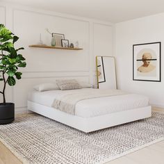 a white bed sitting on top of a rug next to a potted green plant