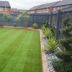 a backyard with grass, rocks and plants in the center is shown from across the yard