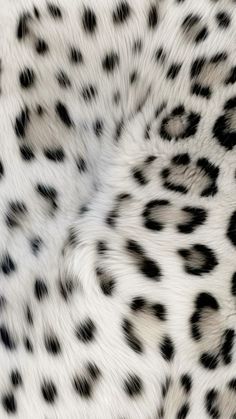 an animal with black spots on it's fur is seen in this close up photo