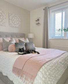 a cat laying on top of a bed next to two pillows and a lamp in a bedroom