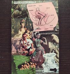 Feminist Collage, Female Reproductive System, Fallopian Tubes, Reproductive System, Collage Art, Book Cover, Collage