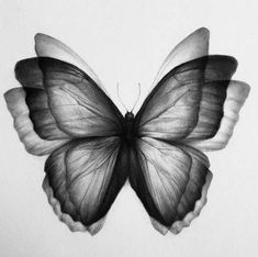 a black and white photo of a butterfly with wings spread out to the right side