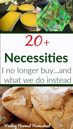 the cover of 20 + necessities no longer buy and what we do instead