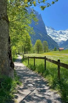 a wooden fence is next to a dirt path in front of a mountain and grassy field