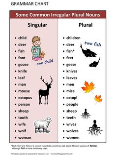 some common irregular and singular words are shown in this poster, which shows the different types of