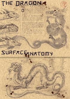 an old book with some writing on it and two dragon images in the middle one