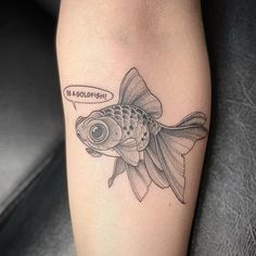 Goldfish Tattoo, japanese goldfish tattoo, goldfish tattoo meaning, goldfish tattoo design, goldfish tattoo designs, traditional goldfish tattoo, black goldfish tattoo, small goldfish tattoo, fancy goldfish tattoo, minimalist goldfish tattoo, japanese goldfish tattoo meaning, japanese goldfish tattoo designs, oranda goldfish tattoo, black moor goldfish tattoo, goldfish tattoo black and white, goldfish tattoo simple, ranchu goldfish tattoo, be a goldfish tattoo, cute goldfish tattoo Japanese Goldfish Tattoo, Tattoo Fancy, Black Moor Goldfish, Chinese Goldfish, Black Goldfish, Tattoo Koi, Oranda Goldfish, Fantail Goldfish