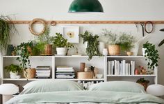 a bed sitting under a green light next to a book shelf filled with books and plants