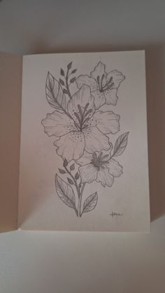 azalea flower drawing Azalea Drawing, Dessin Aestetic, Chicano Drawing, Disney Mural, Art Test, Drawing Things, Chicano Drawings, Draw Ideas, Flower Drawing Design